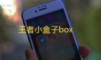 王者小盒子box